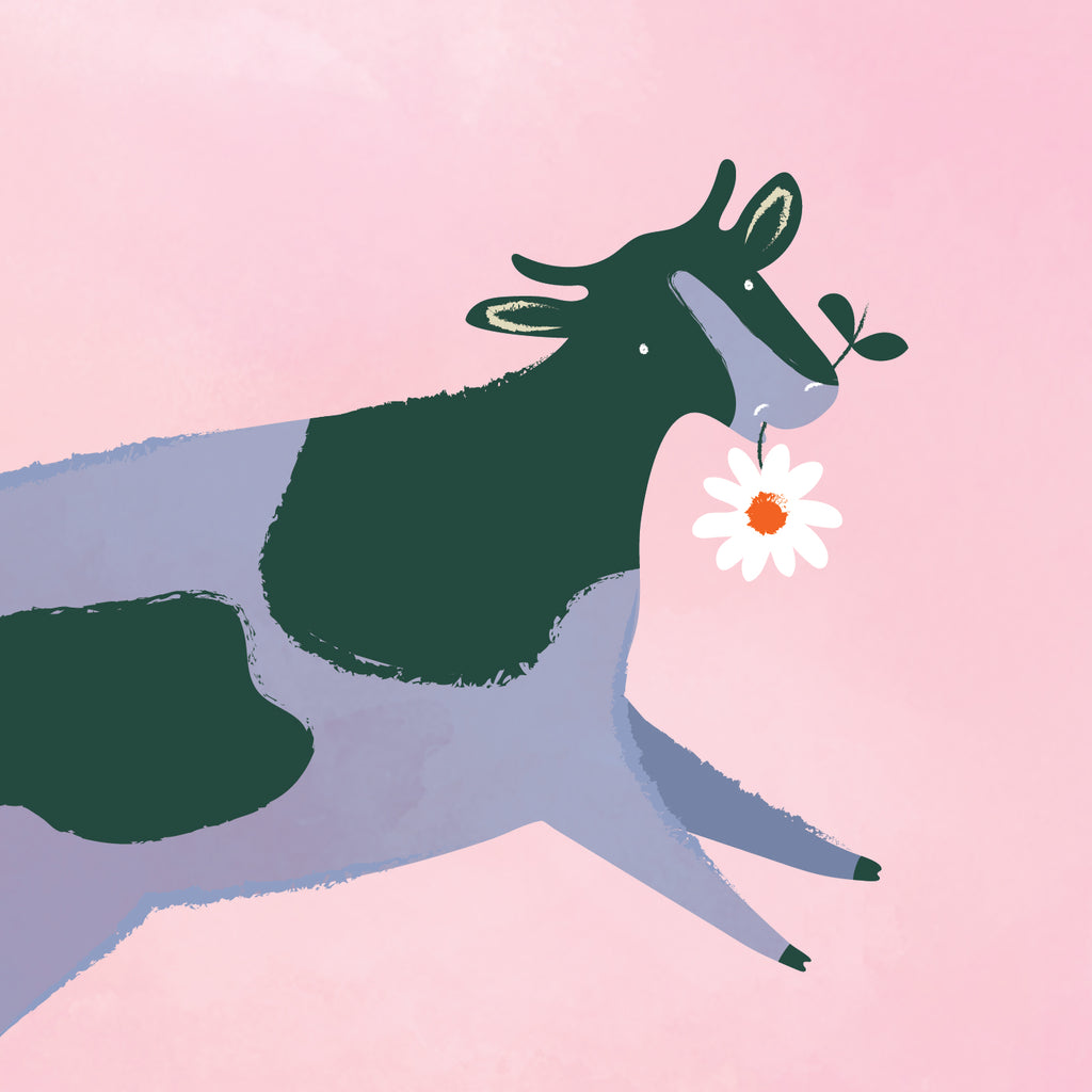 Shirley's Tallow Butter 100ml